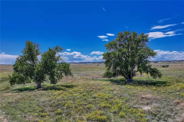 Kiowa, CO 80117,Fiddleback Ranch RD