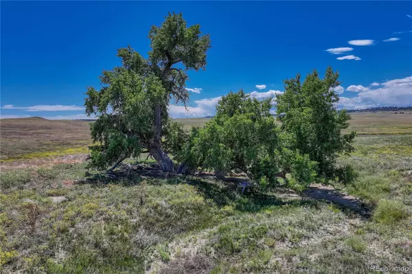 Kiowa, CO 80117,Fiddleback Ranch RD