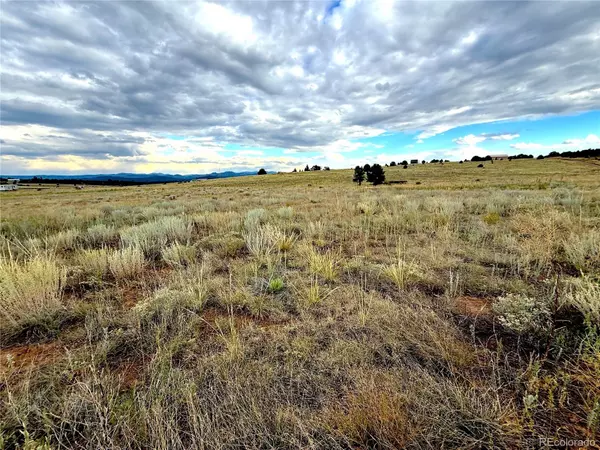 Cotopaxi, CO 81223,TBD #2, 23rd Trail