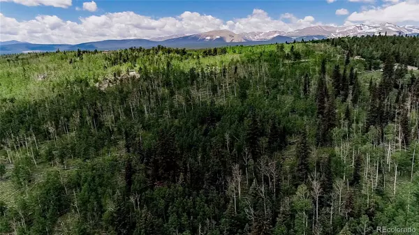 Fairplay, CO 80440,1047 Lumberjack RD