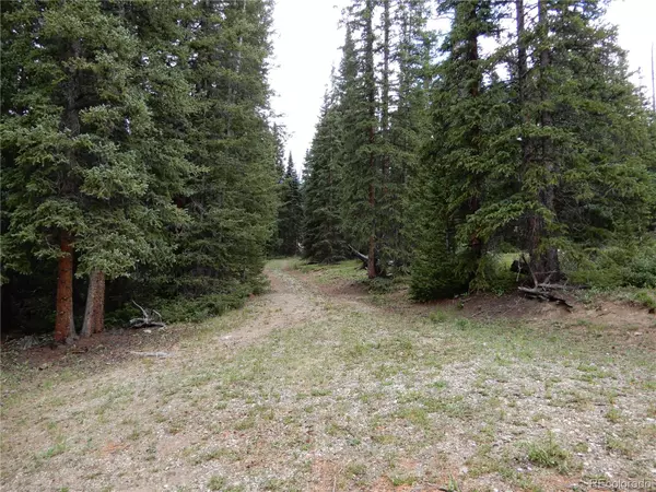 Alma, CO 80420,4190 County Road 4