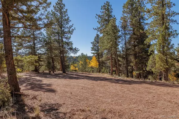 Divide, CO 80814,980 Spring Creek DR