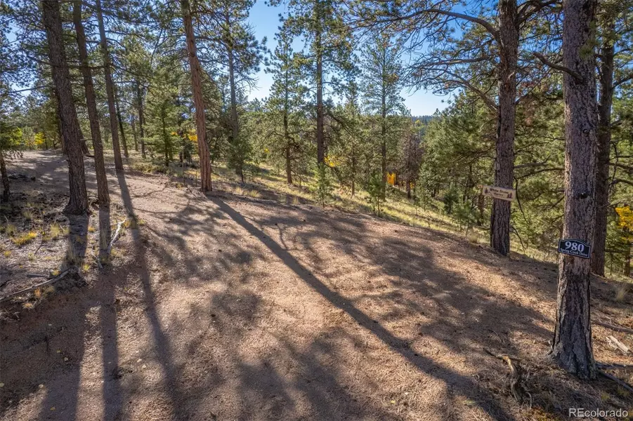 980 Spring Creek DR, Divide, CO 80814