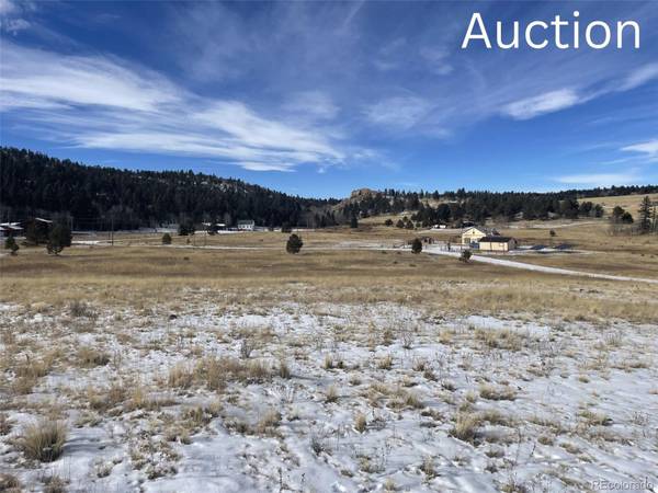 34 Forest LN, Guffey, CO 80820