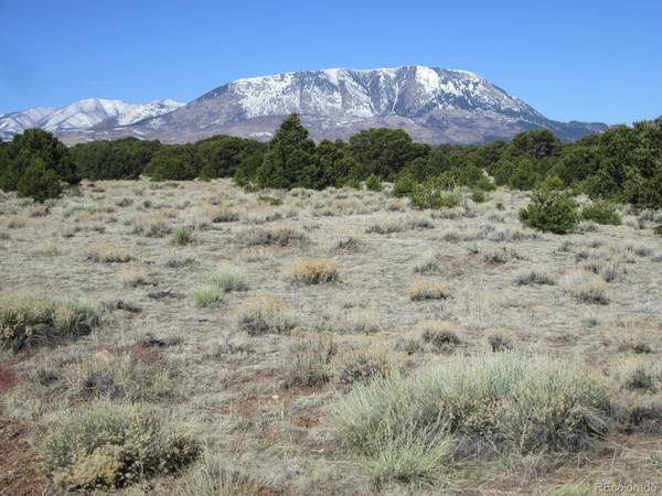 lot 125 CR 530, Gardner, CO 81040