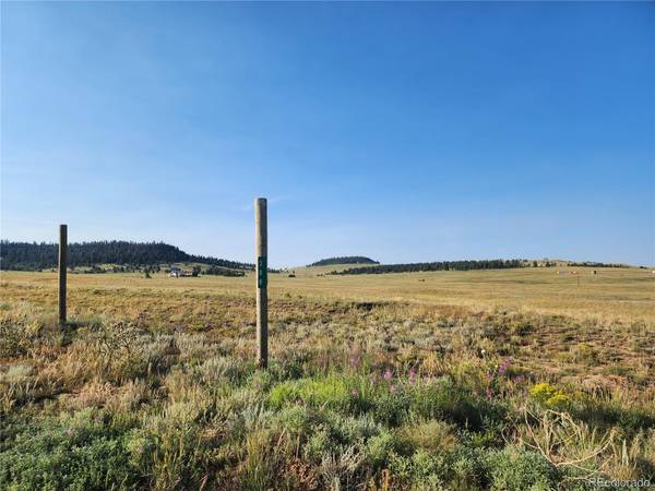 388/446 Cohonina RD, Hartsel, CO 80449