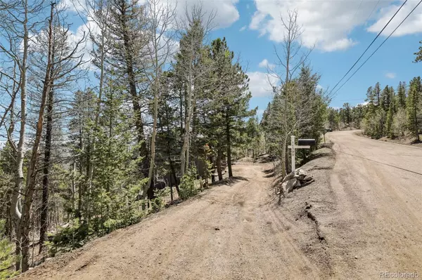 Golden, CO 80403,11390 Shimley RD