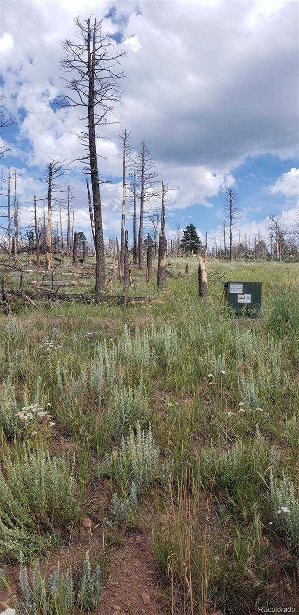 Fort Garland, CO 81133,2144 Riccardo LN