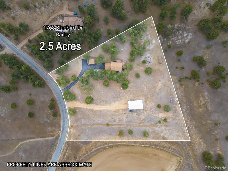 1768 Bluebird DR, Bailey, CO 80421