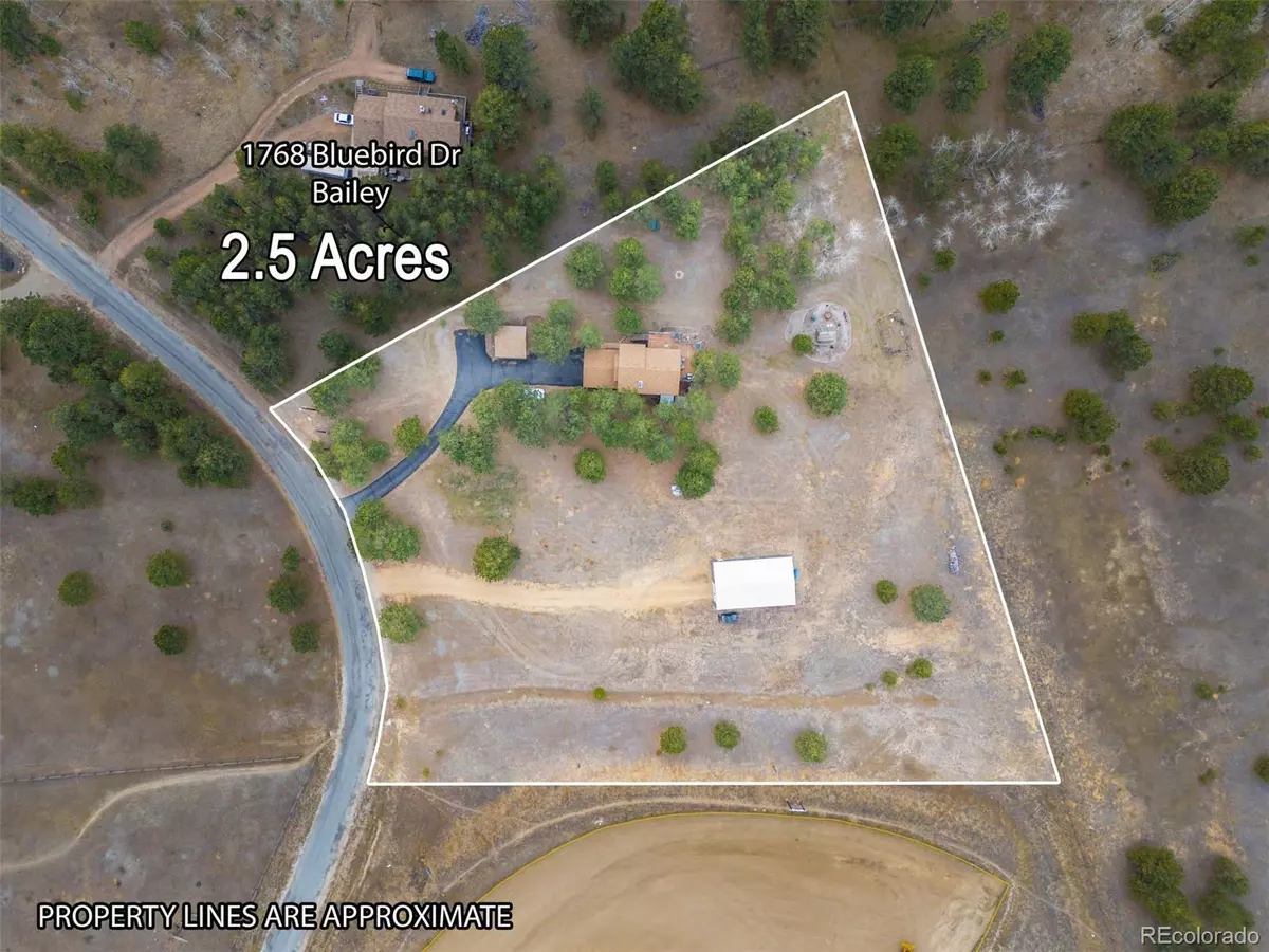 Bailey, CO 80421,1768 Bluebird DR