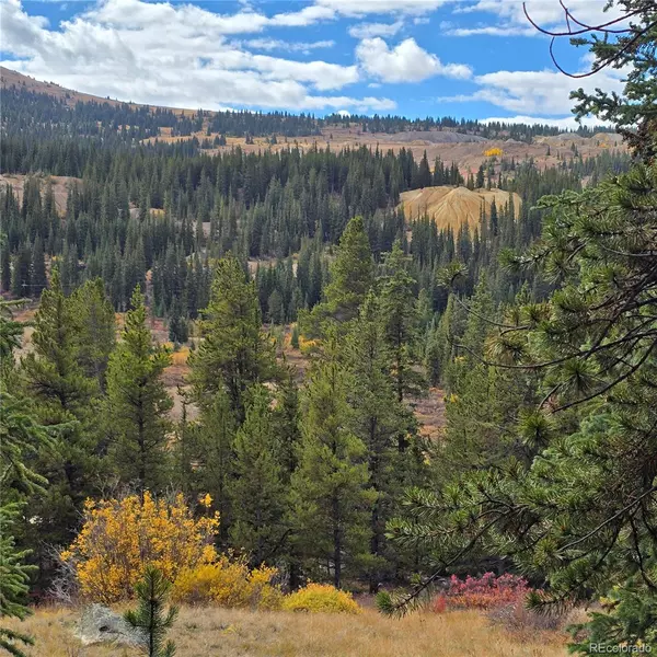 Leadville, CO 80461,5347 Monitor Lode Claims