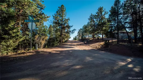 Florissant, CO 80816,74 Quandry CIR
