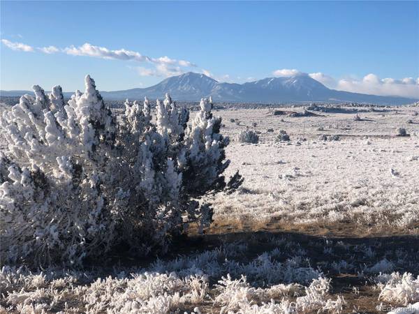 40 AC vacant land Red Rock RD, Walsenburg, CO 81089