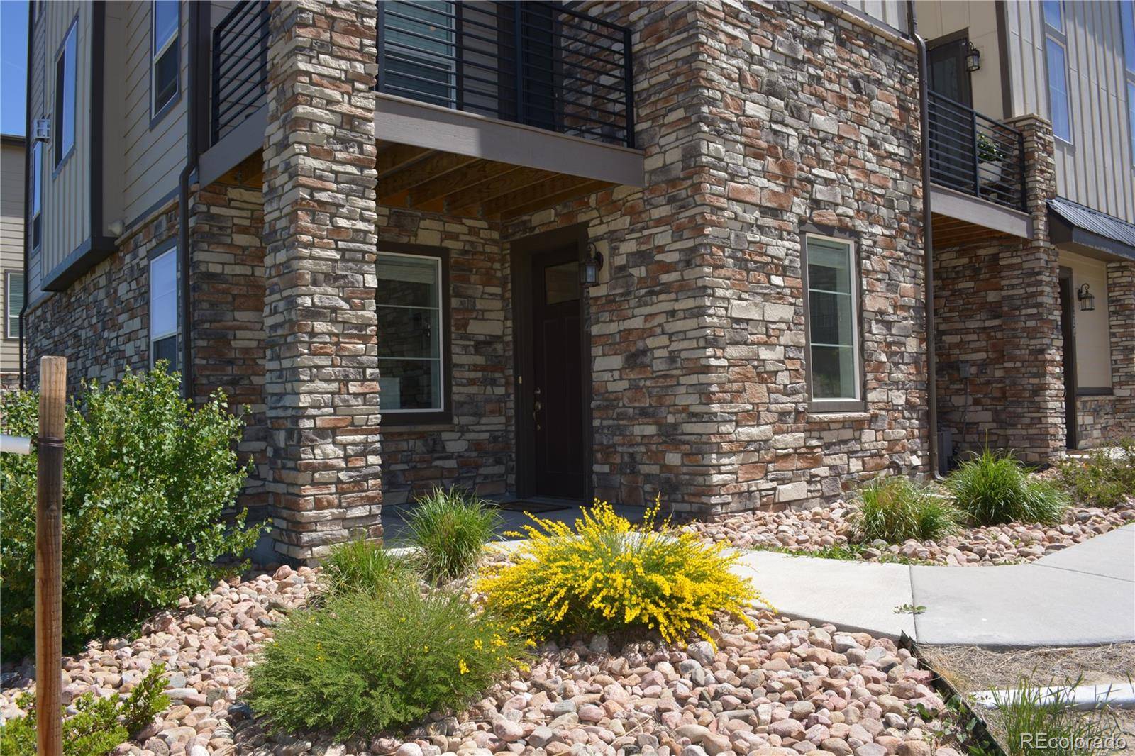 Castle Rock, CO 80104,1584 Castle Creek CIR
