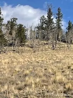 Jefferson, CO 80456,2262 Longbow DR