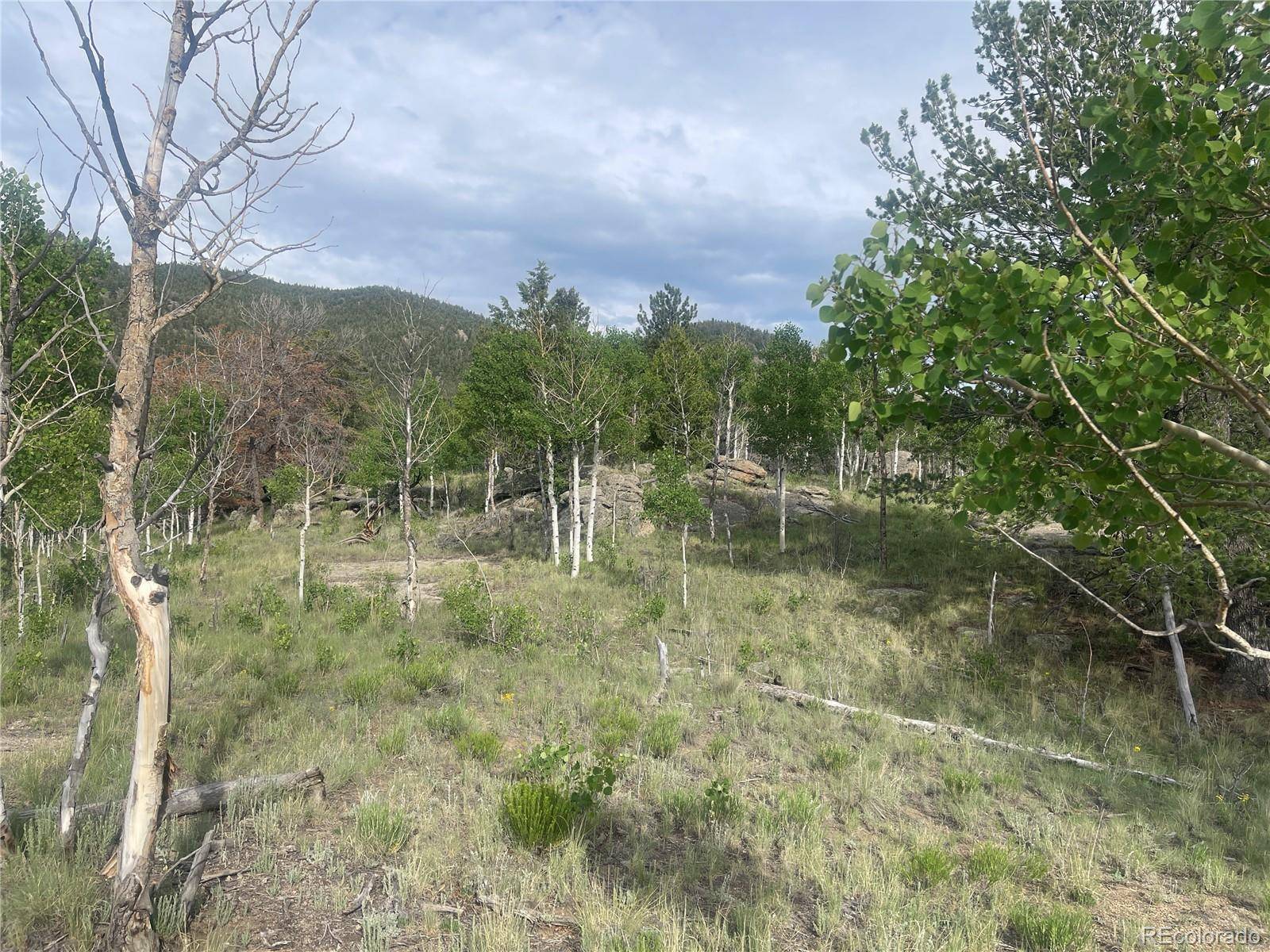 Lake George, CO 80827,170 Emerald WAY
