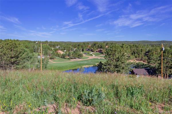 288 Piney Point LN, Woodland Park, CO 80863