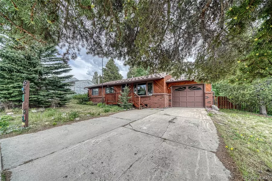 619 W 7th ST, Leadville, CO 80461