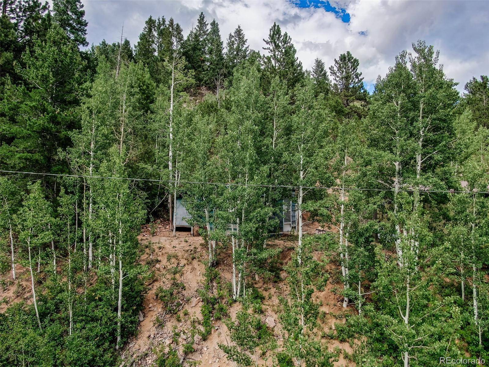 Bailey, CO 80421,7366 County Road 43