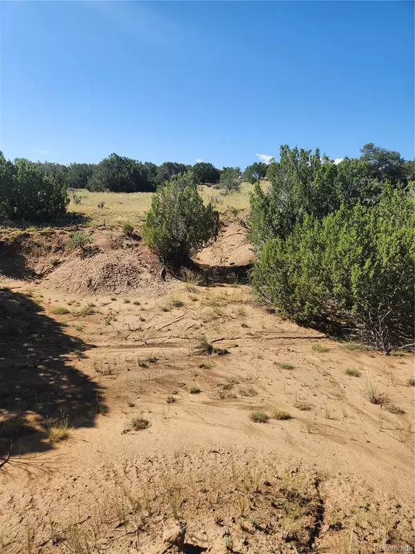 Walsenburg, CO 81089,Lot 756 Lomita Verde PL