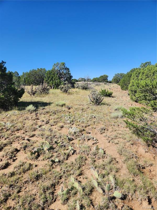 Walsenburg, CO 81089,Lot 756 Lomita Verde PL