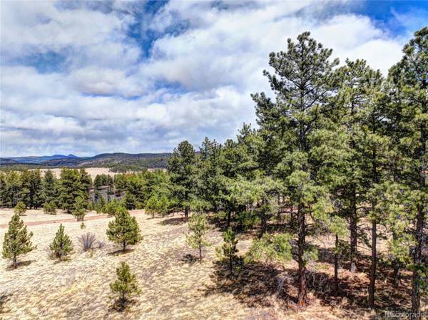 206 Steel Bit RD, Florissant, CO 80816