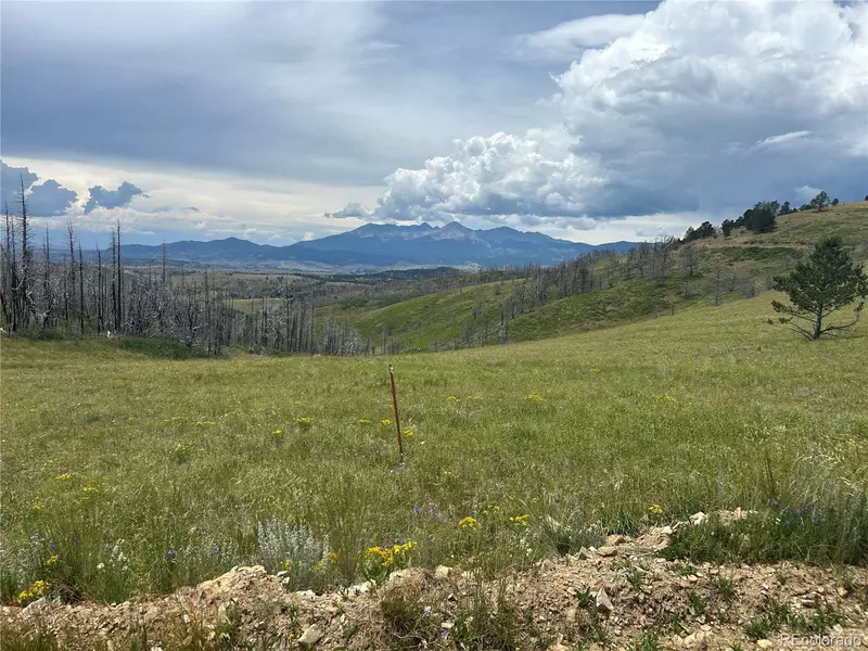 Lot 463 Forbes Wagon Creek Ranch, Fort Garland, CO 81133