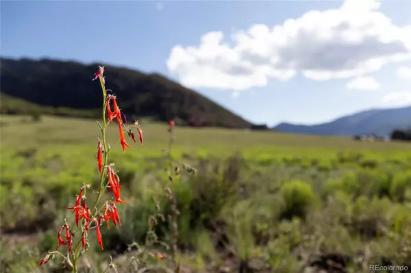 364 Diamond RD, Creede, CO 81130