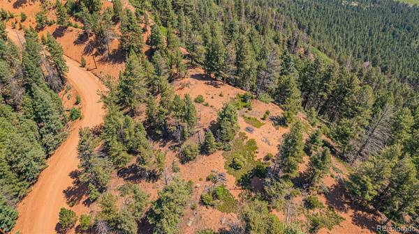 Larkspur, CO 80118,13464 Deer Ridge WAY