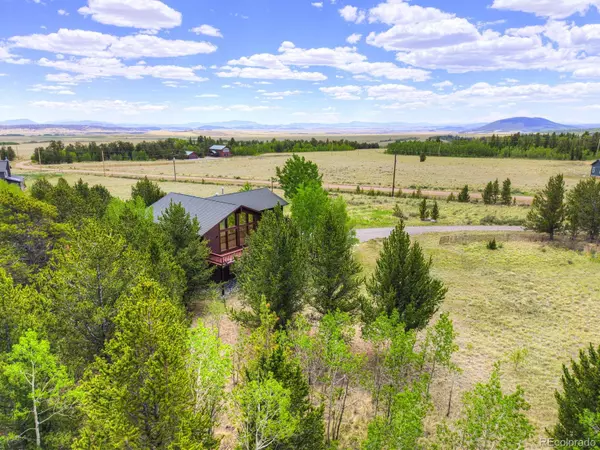 Fairplay, CO 80440,16 Thurber CT