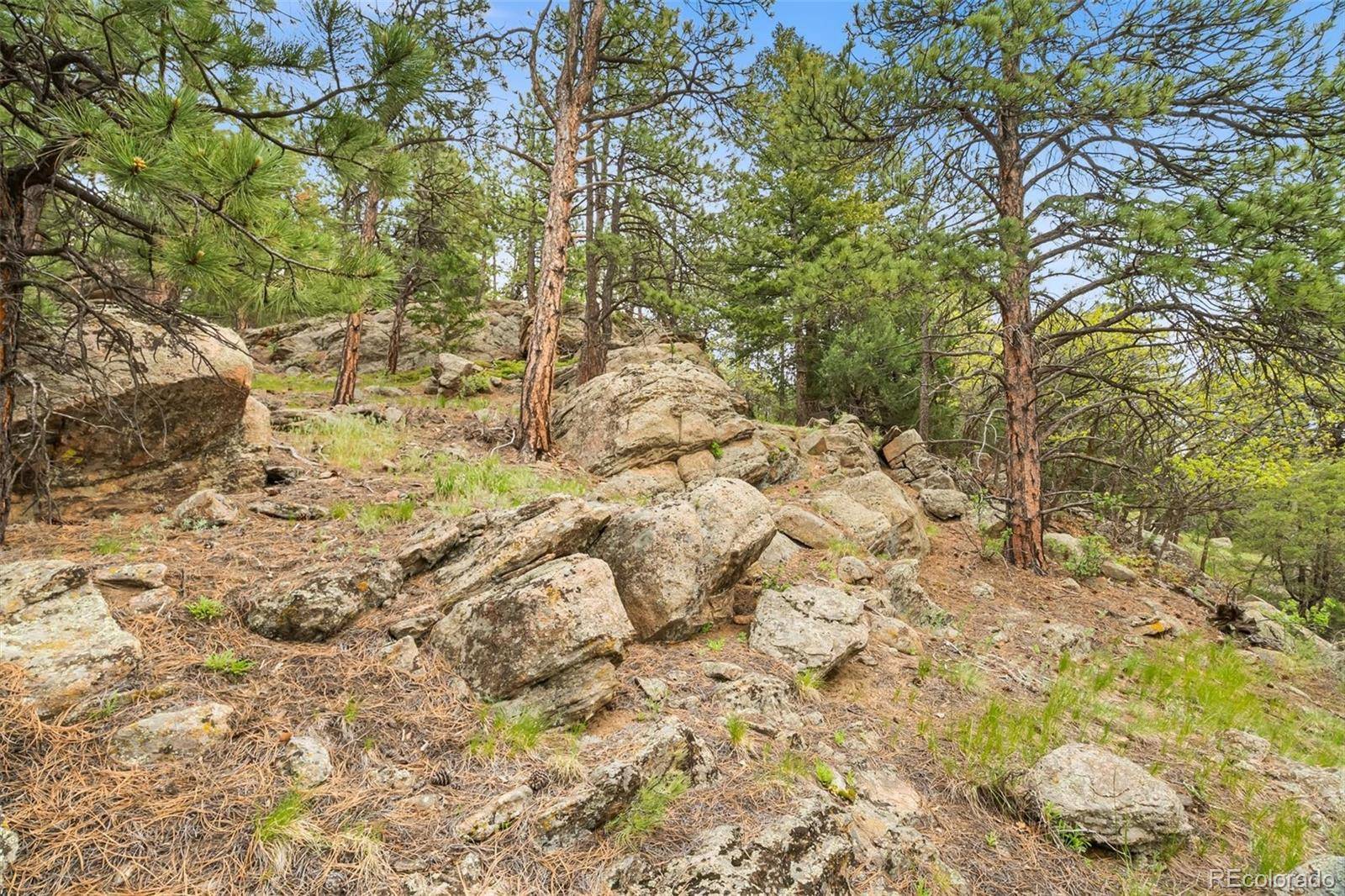 Evergreen, CO 80439,5825 High DR