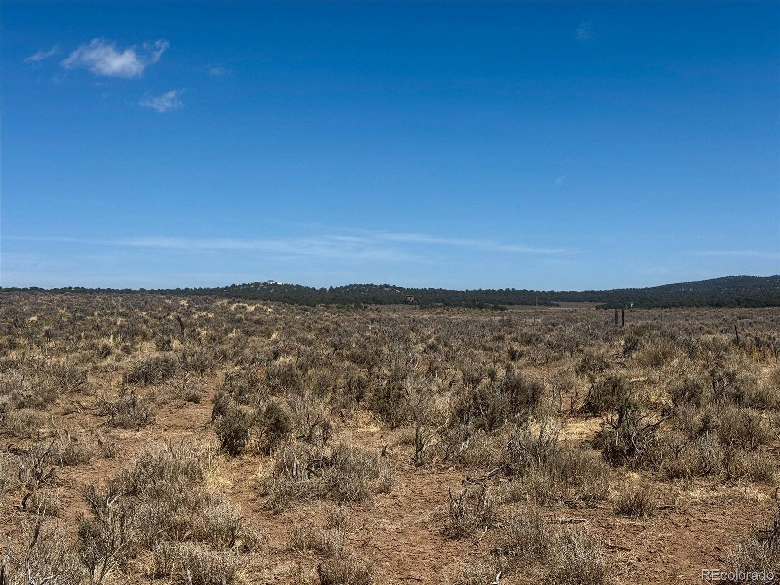 Fort Garland, CO 81133,Lot 6976 Trinchera Ranch RD