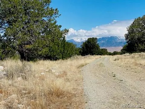 Mosca, CO 81146,105 Cedar Ridge RD