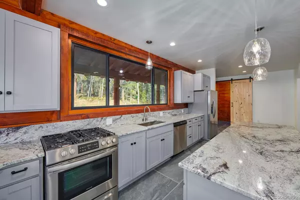 Black Hawk, CO 80422,647 Morning Star CIR