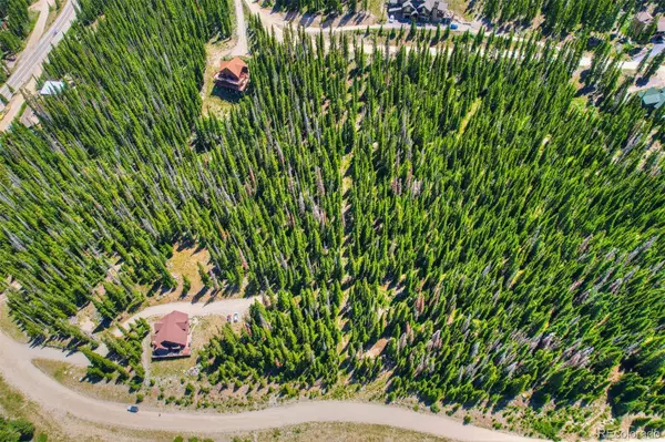 Breckenridge, CO 80424,253 CR 805