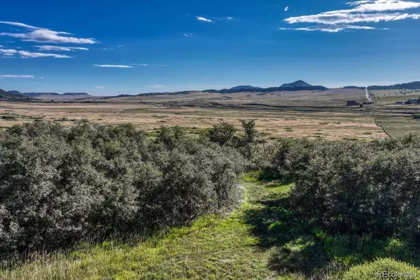 Larkspur, CO 80118,15989 S Perry Park RD