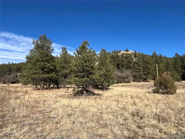 Weston, CO 81091,San Pablo Canyon Lot 6