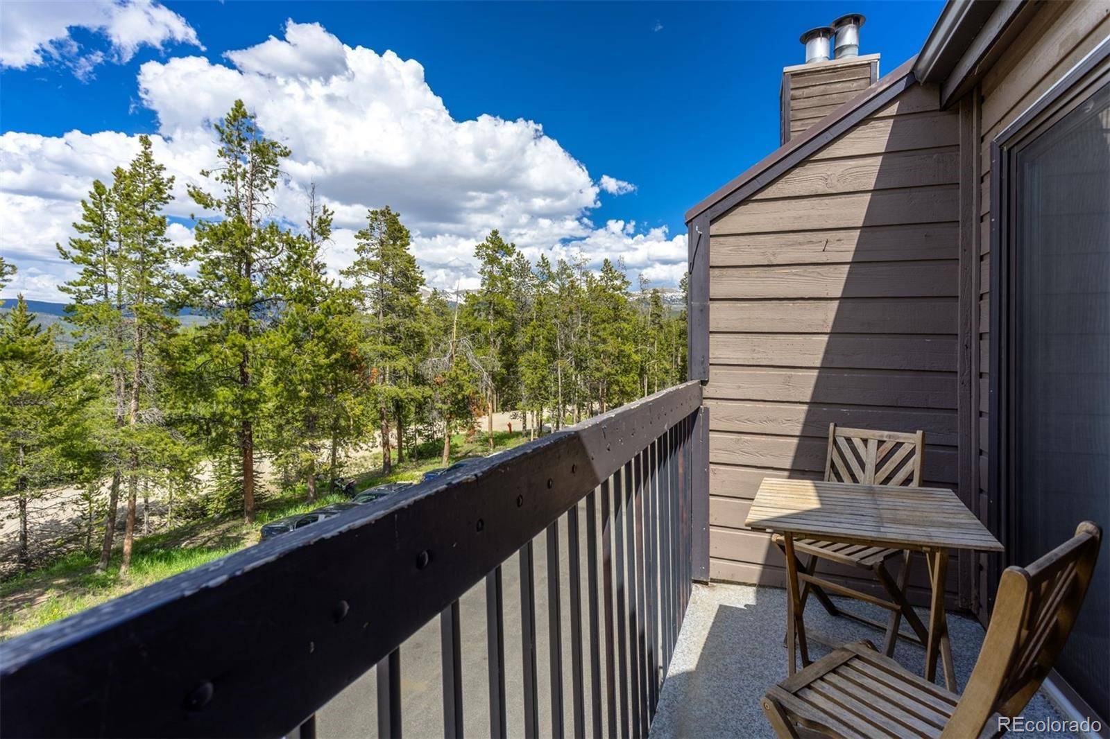 Fraser, CO 80442,100 Bryant BLVD #3