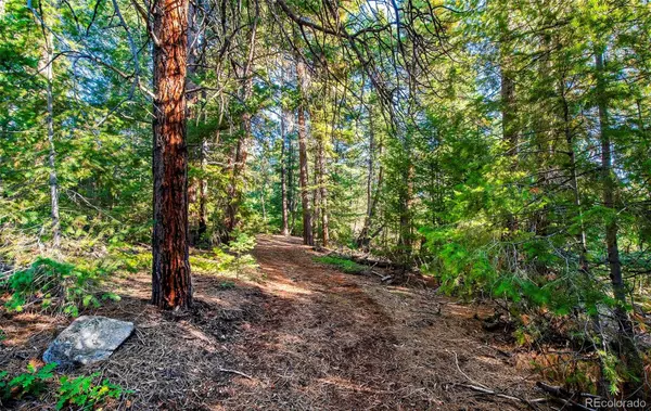 Morrison, CO 80465,8838 Hillview RD