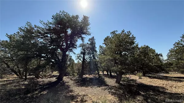 Crestone, CO 81131,1872 Rockyview WAY