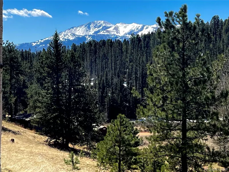 194 Rainbow TRL, Divide, CO 80814