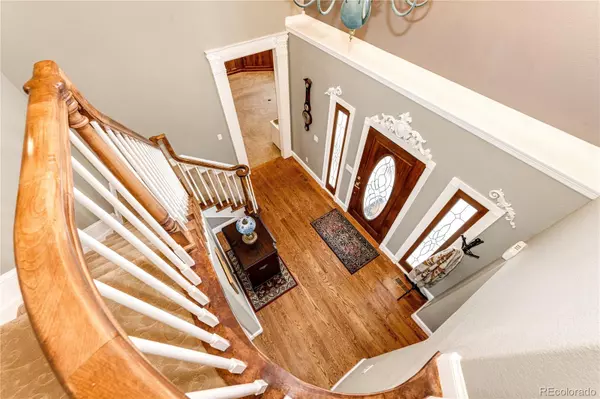 Larkspur, CO 80118,1805 Senecio DR