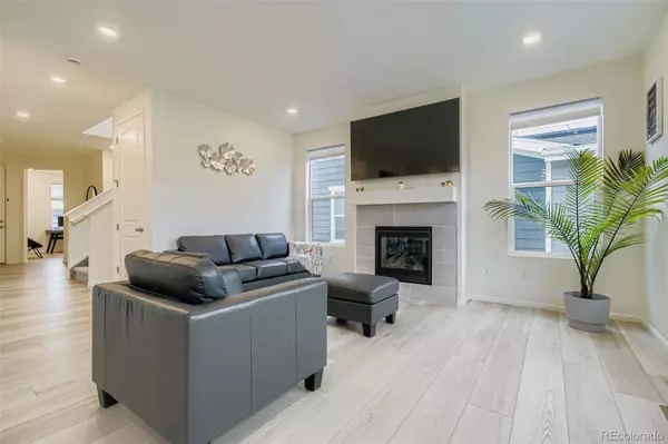 Brighton, CO 80601,1894 Spotted Owl CT