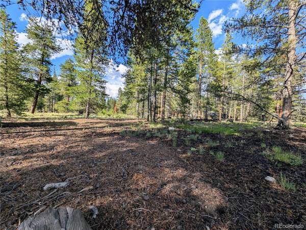 Twin Lakes, CO 81251,511 Spruce DR