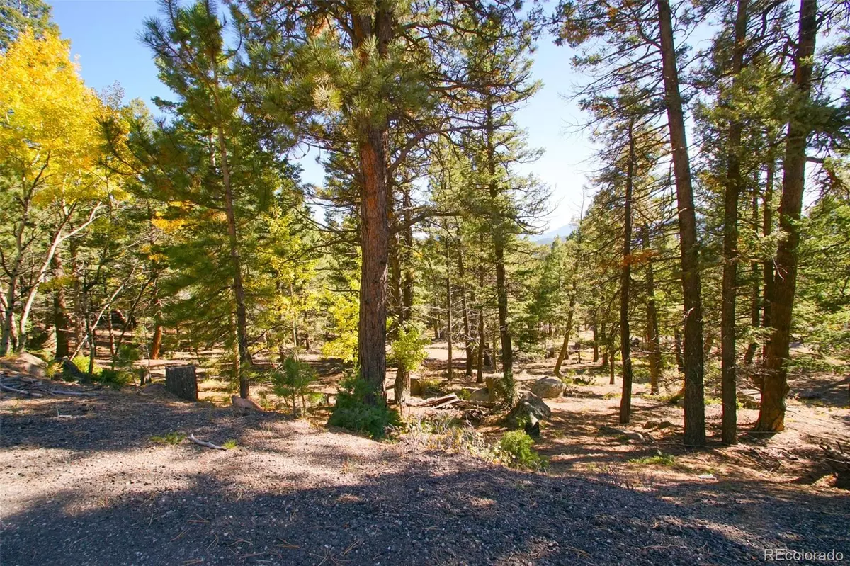 Conifer, CO 80433,30402 Kings VLY