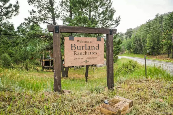 Bailey, CO 80421,162 Pine TRL