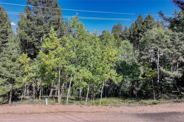 Divide, CO 80814,282 Pinon Lake DR