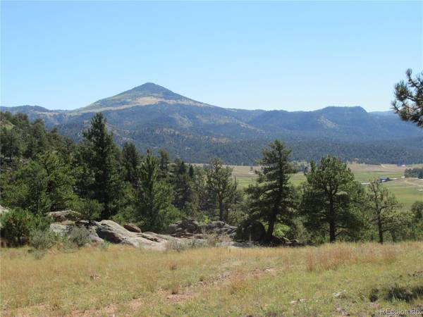 Florissant, CO 80816,County Road 111