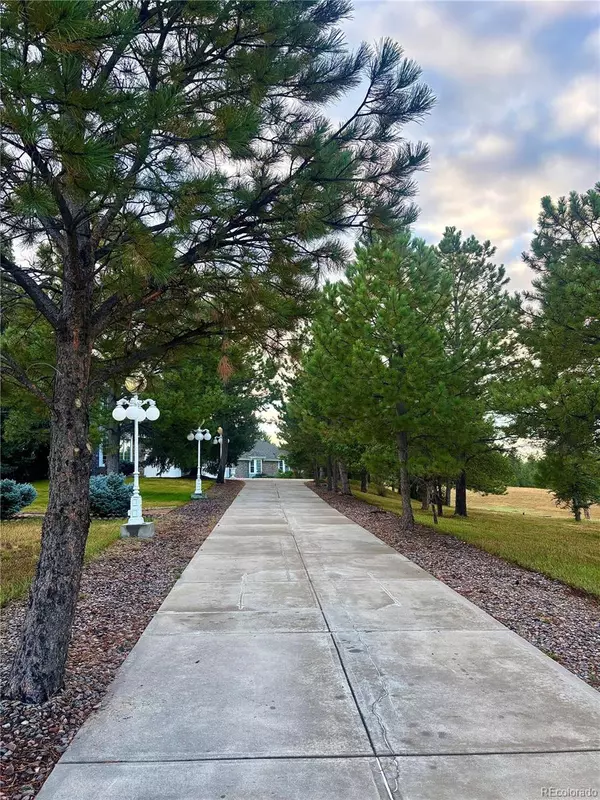 Parker, CO 80134,11421 Random Valley CIR