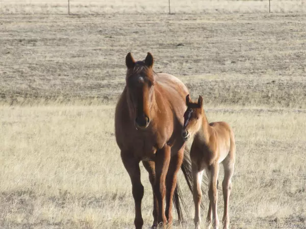 Hartsel, CO 80449,0 Anasazi RD